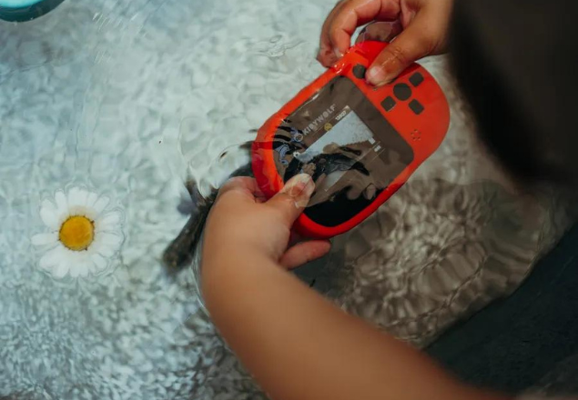 Aparat foto-video digitala pentru copii Kidycam, Kidywolf